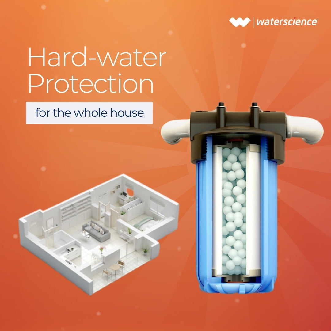 Main Line Filter + Stain Removers Combo