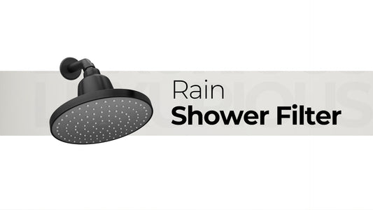 rain shower filter