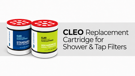 Do You Really Need a Shower Filter for Hard Water?