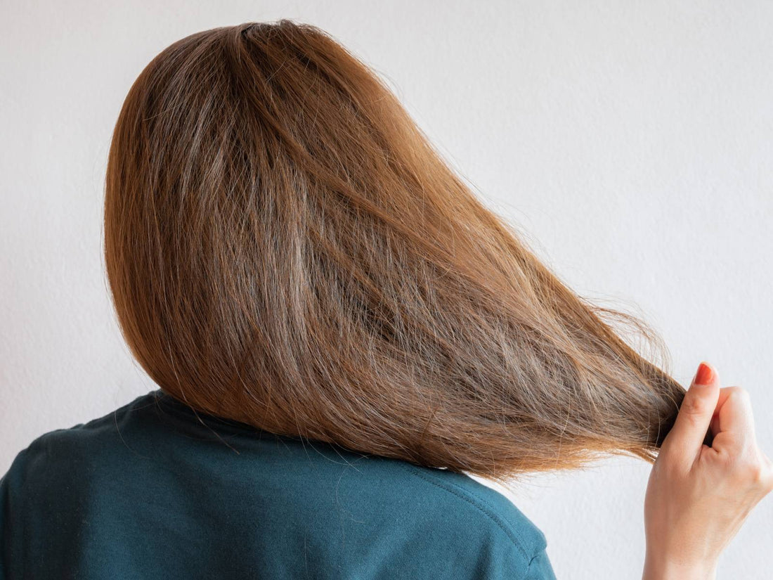 5 Facts about Frizzy hair