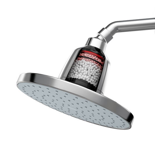 Rain Shower Filter - Chrome with Arm - 8''