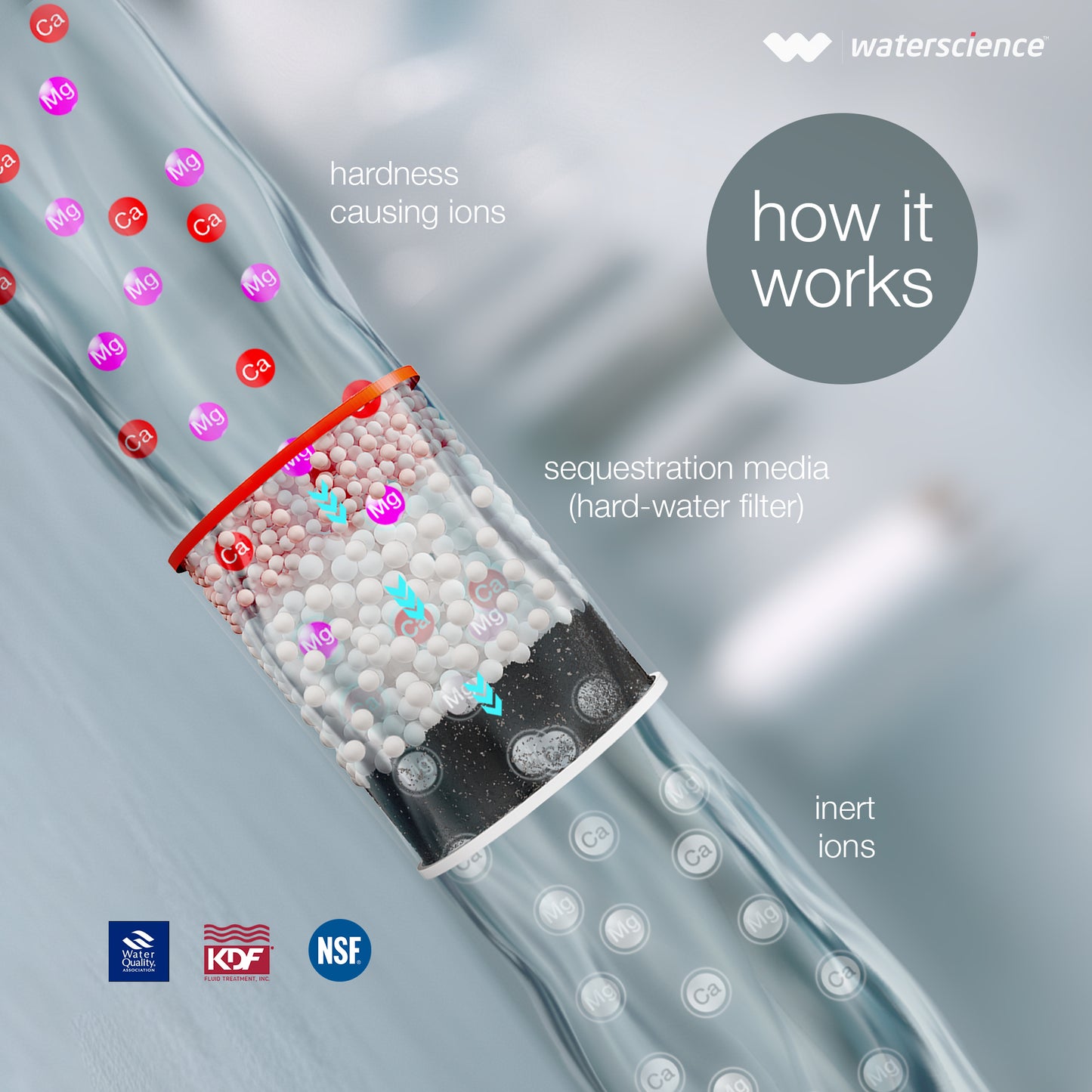 CLEO Shower & Tap Filter for Hard Water - for Borewell/Tanker Water - with Metal Adaptors