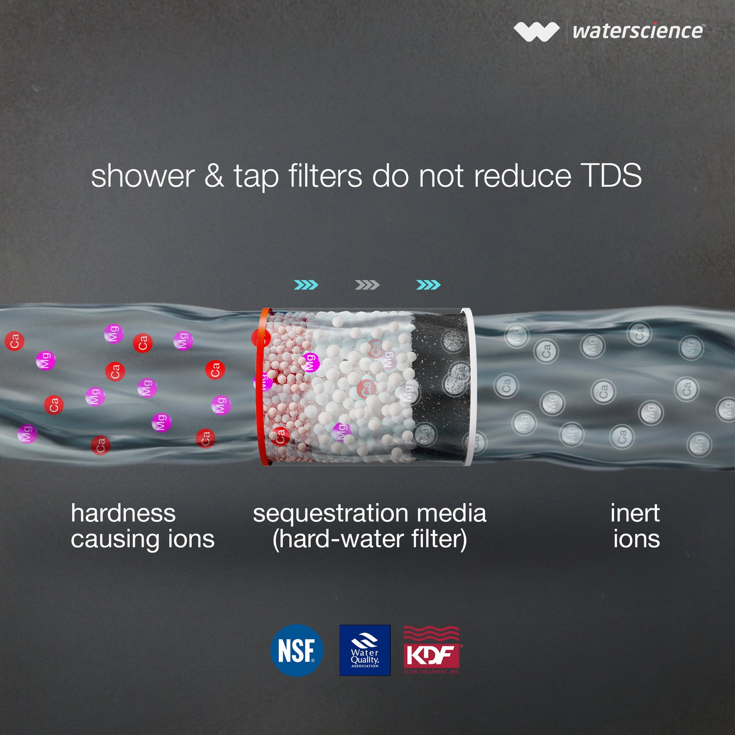 Shower and Tap Filter