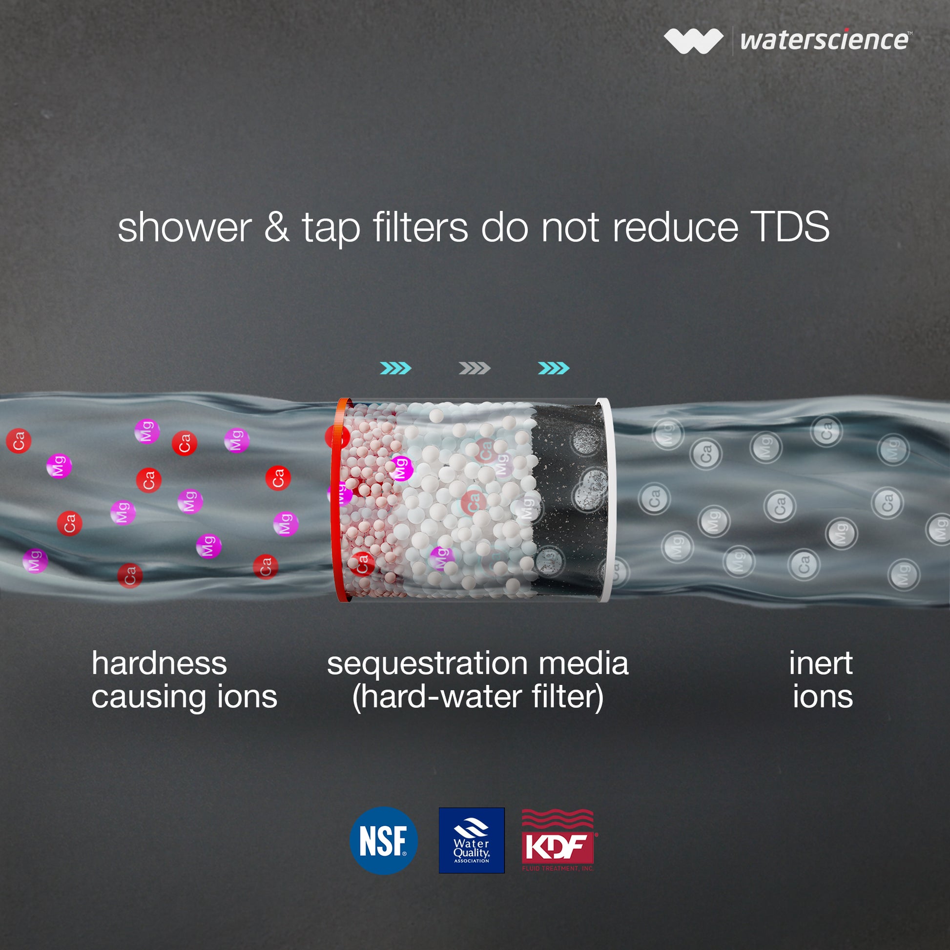 Shower and Tap Filter